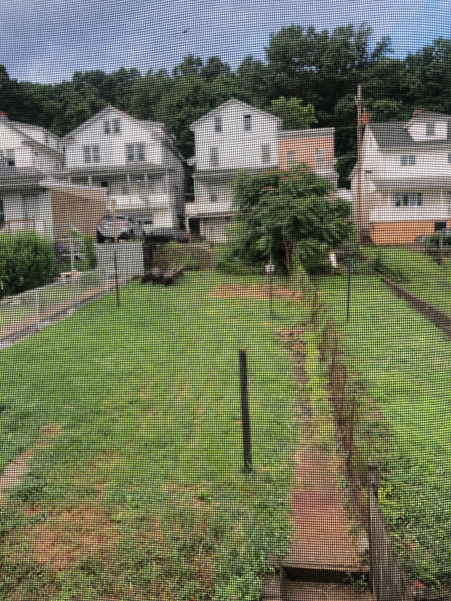 Long Skinny Back Yard - 1221 W Walnut St