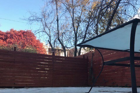 Apartment backyard - 1843 Lamont St NW