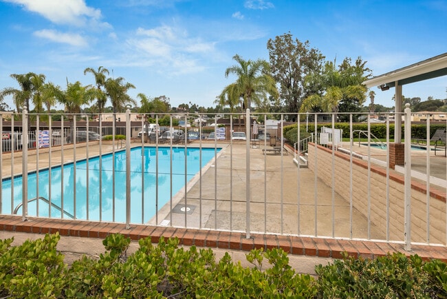 Pool & Jacuzzi - 4475 Dale Ave