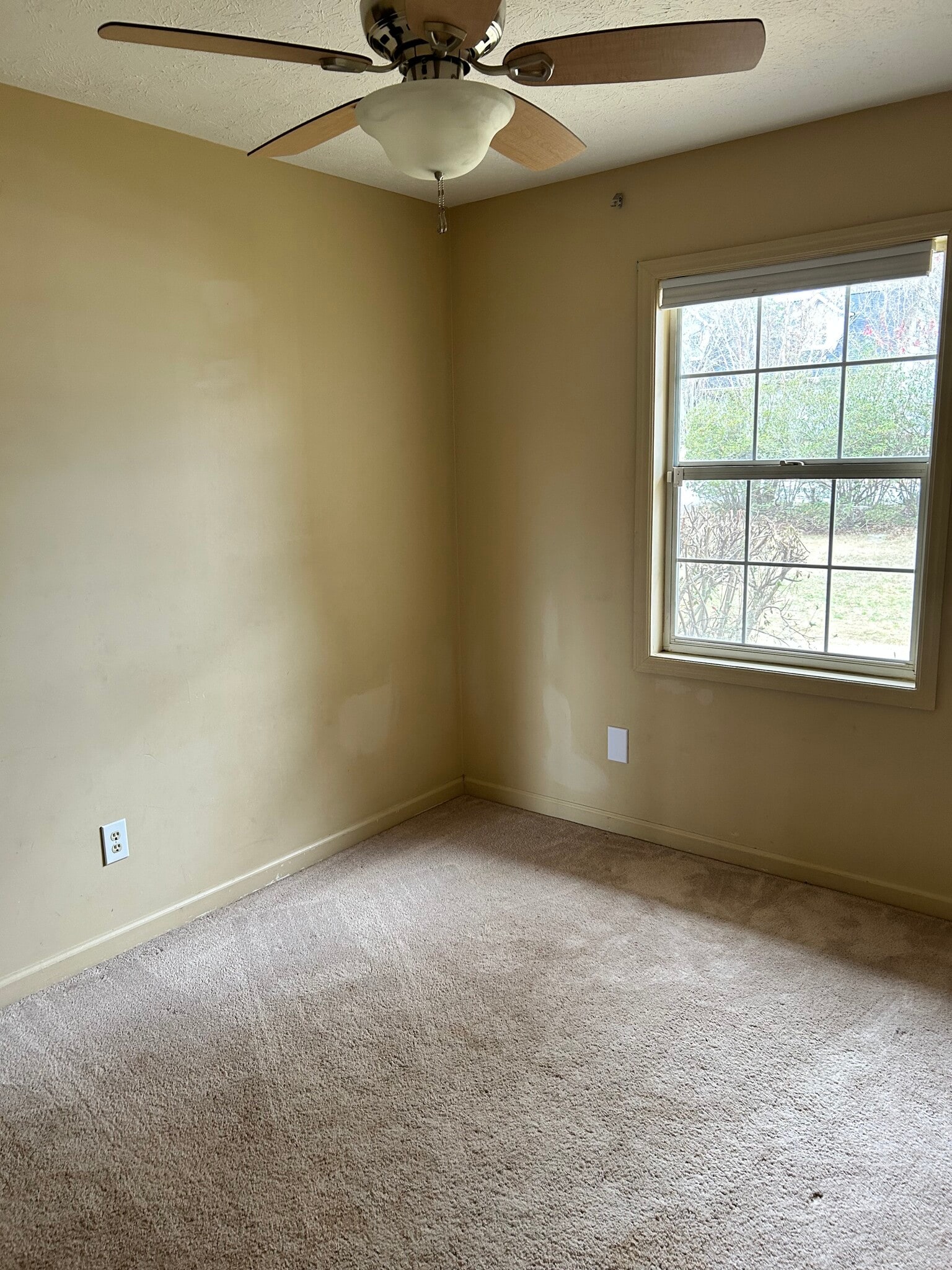 Building Photo - 1033 DeKalb St