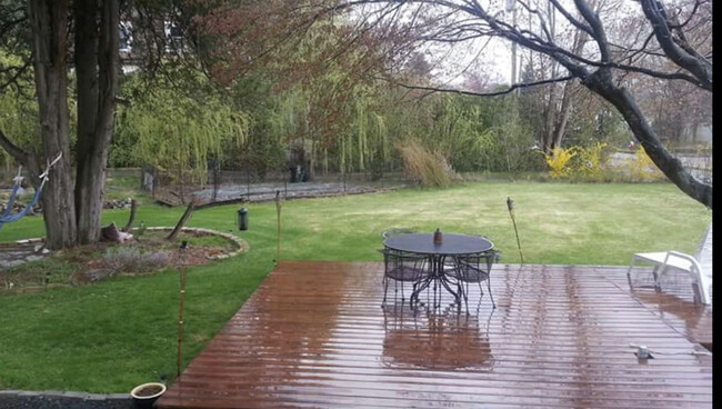 Private Yard with BBQ deck and veggie garden - 40 Oak St