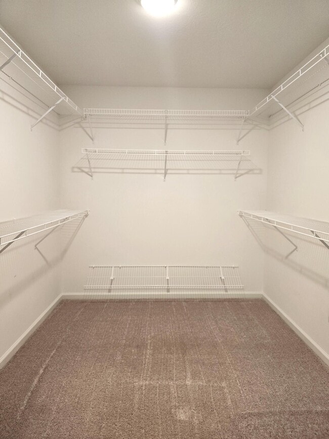 Building Photo - 606 Litcham Run