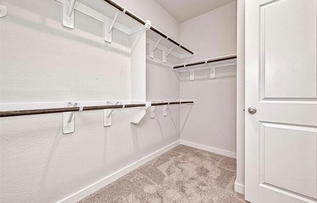 Building Photo - 607 Pecan Hickory Ct