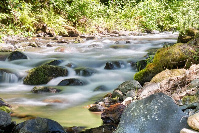 Building Photo - Rare Home on Creek Front Property!