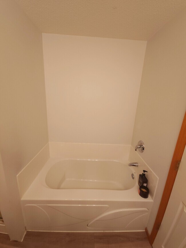 large tub in master bathroom - 862 Princeton Ave
