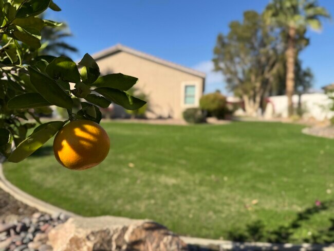 Building Photo - 80372 Camino San Lucas