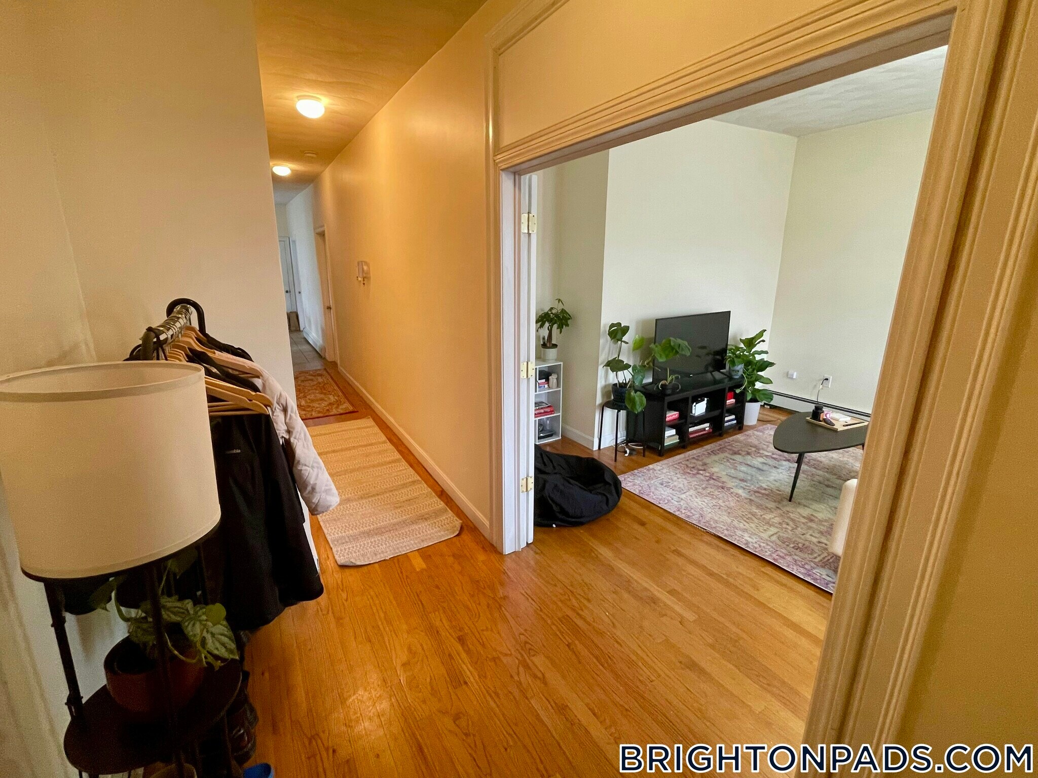 Building Photo - 40 Litchfield St