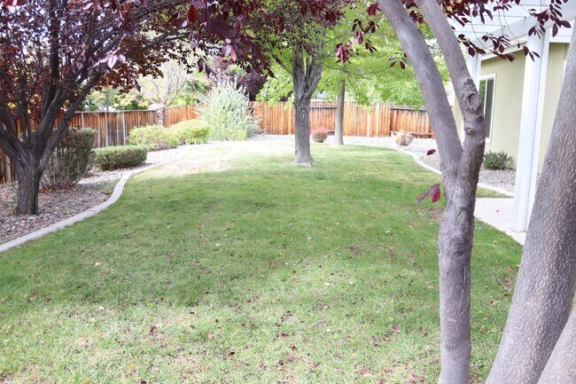 Building Photo - 3 bed 2 bath in Cimarron Wingfield Springs
