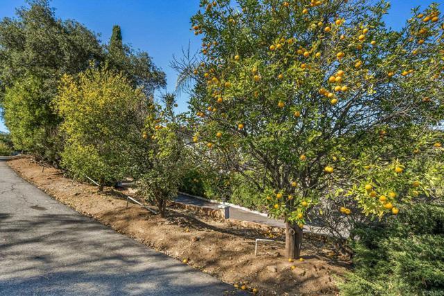 Building Photo - 1051 Via Rancho Pkwy