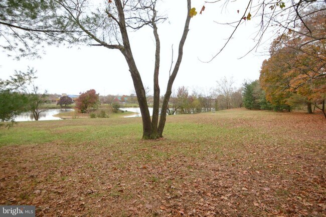 Building Photo - 1666 Albermarle Dr