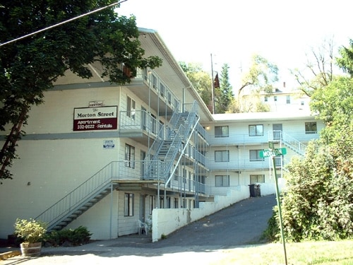 Primary Photo - The Morton Street Apartments