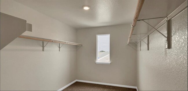 Building Photo - 257 Frogmore Lp