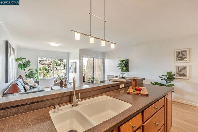 Building Photo - 233 Orange St