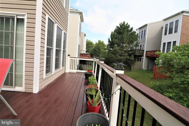 Building Photo - 2415 Terra Cotta Cir