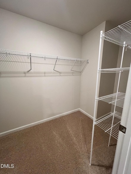 Building Photo - 1244 Pavo Path