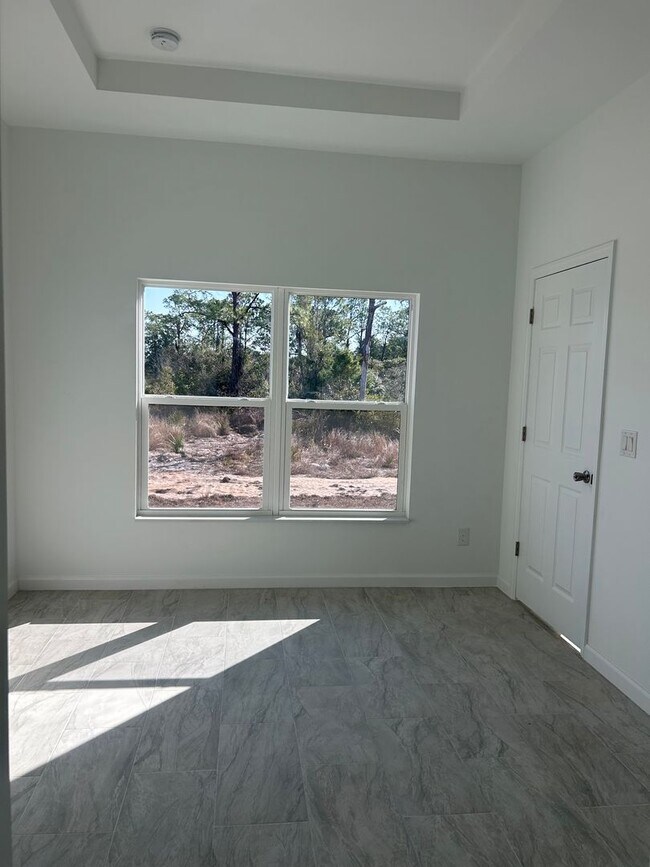 Building Photo - BRAND NEW CONSTRUCTION- 4 Bedroom 2 Bath-2 Car Garage-Serene Lake Placid Location