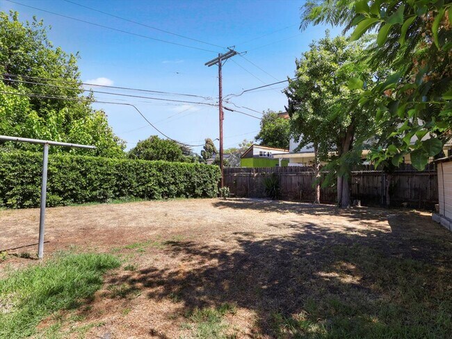 Backyard - 3801 Legion Ln