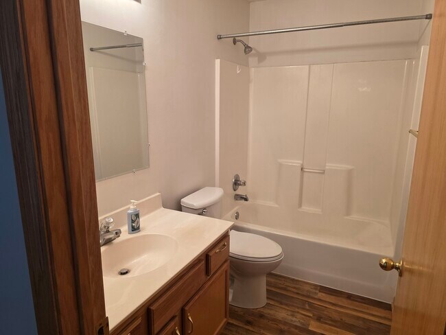 Main floor bathroom - 804 Ivy Ridge Ln