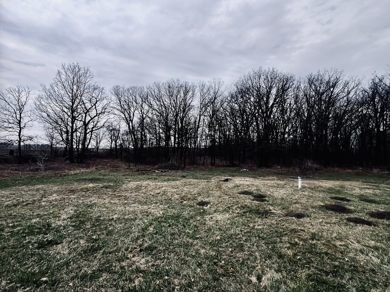 View from the house, and back yard. - 13433 County 13