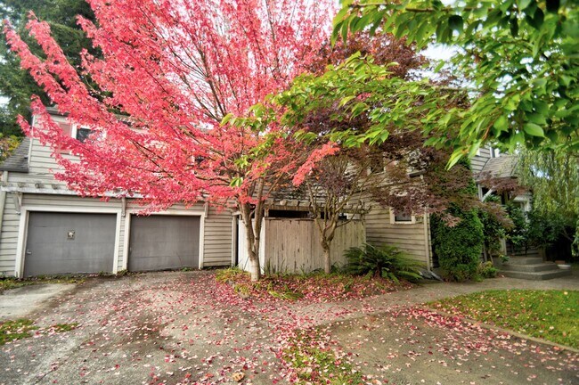 Building Photo - Charming 1-Bedroom Unit in Eastside Olympia