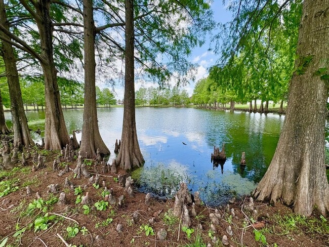 Building Photo - Beautiful 4BR/2.5BA Water View Home - Deer Hollow in the Deerfield Community!