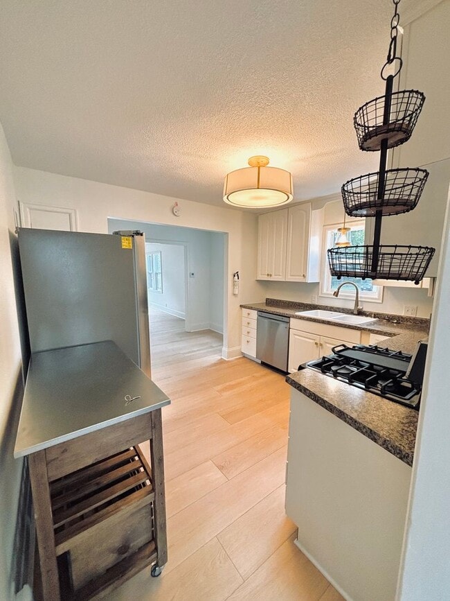 Building Photo - Stunning 2 Bedroom Home in The Heart of Go...