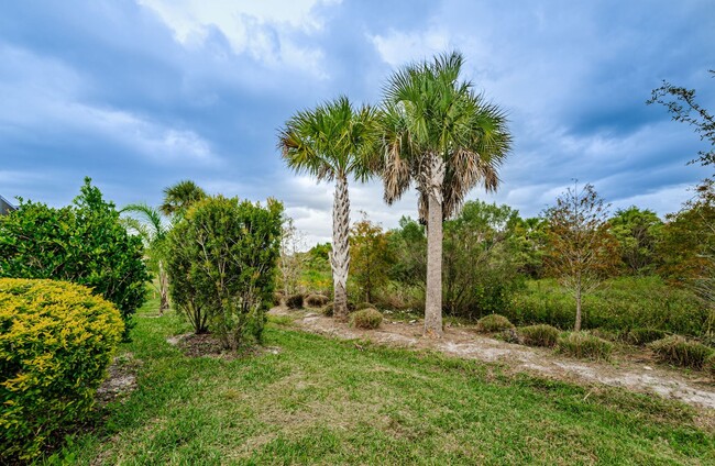 Building Photo - Beautiful Pool home in Starkey Ranch