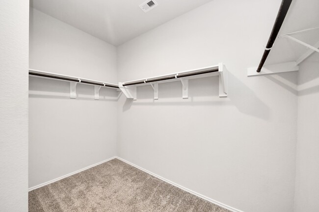 Building Photo - 22654 Winter Maple Trl