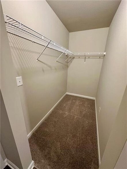 Building Photo - 252 Whitetail Cir