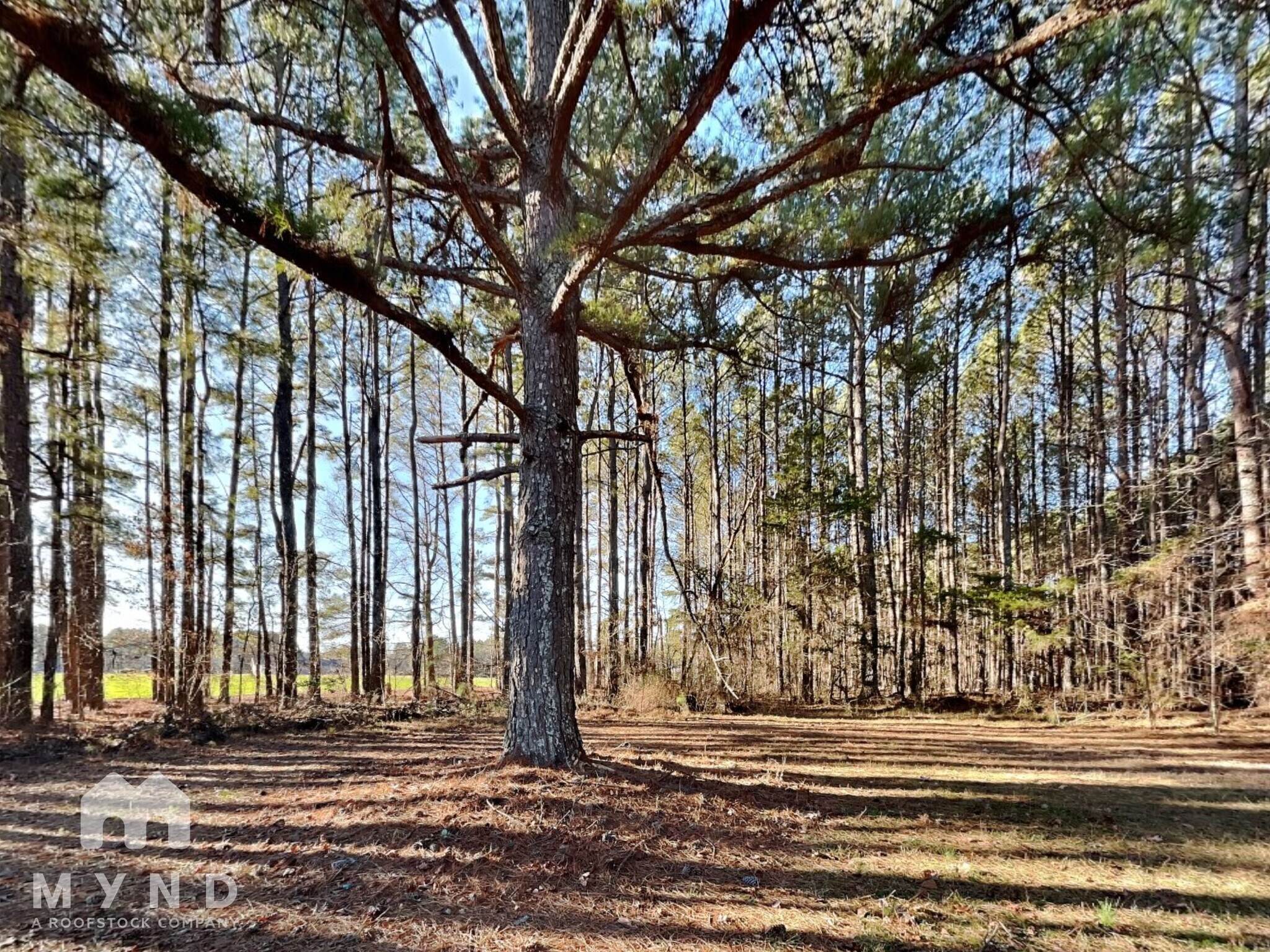 Building Photo - 7001 Lazy Breeze Cir