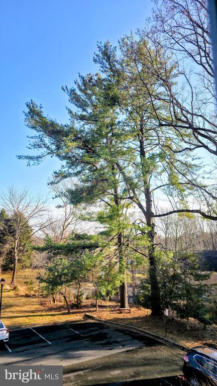 Building Photo - 10636 Montrose Ave