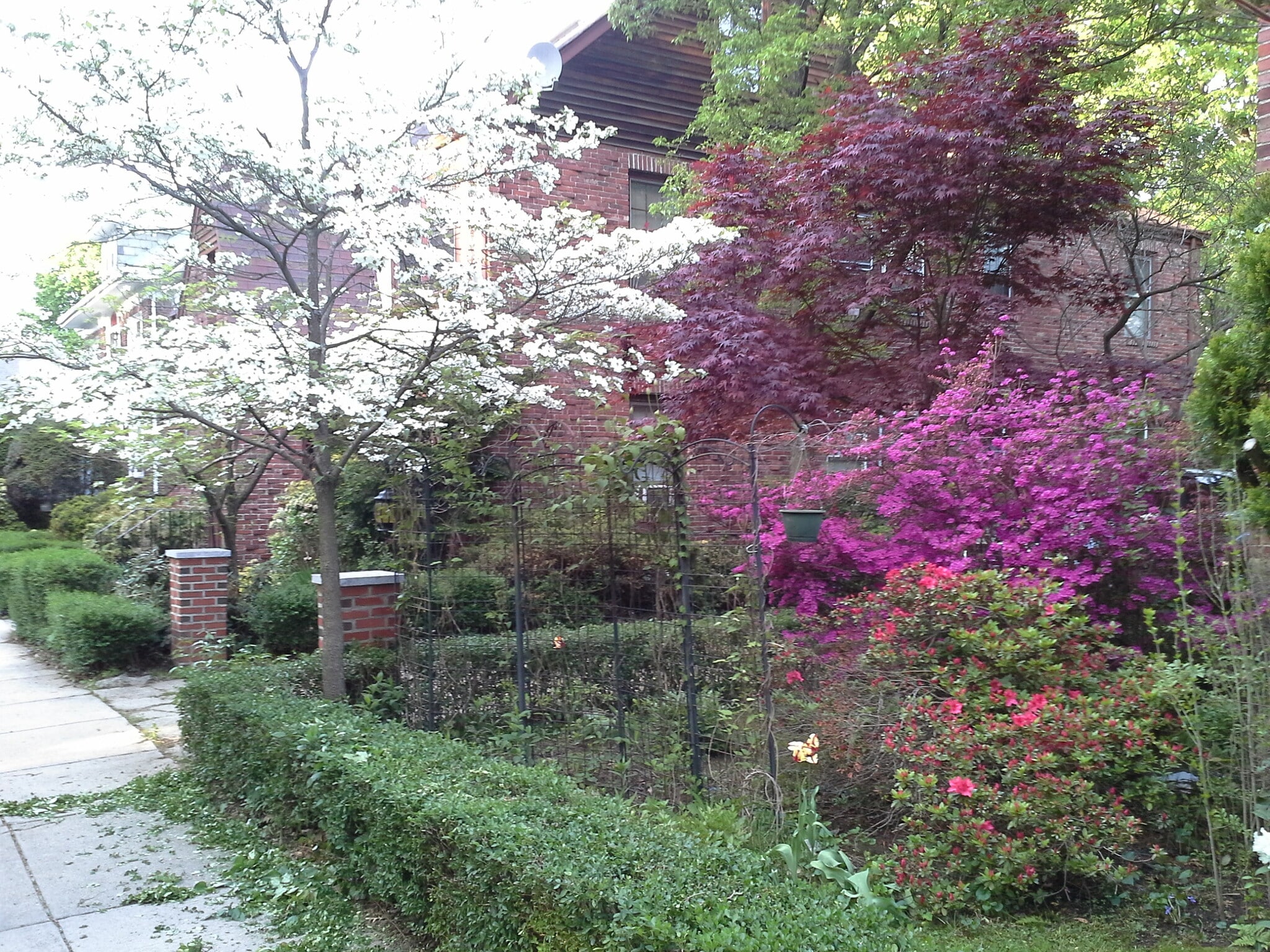 Spring Colors Outdoors - 31 Greycliff Rd
