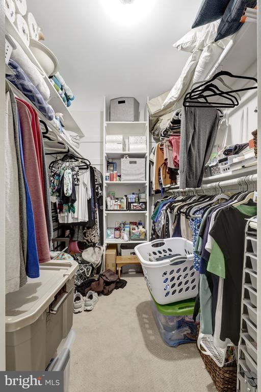 Building Photo - 10205 Ashbrooke Ct