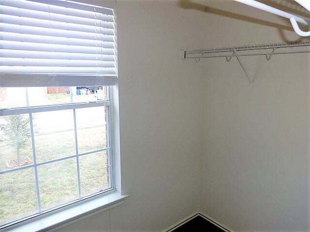 Building Photo - 317 Phillips St