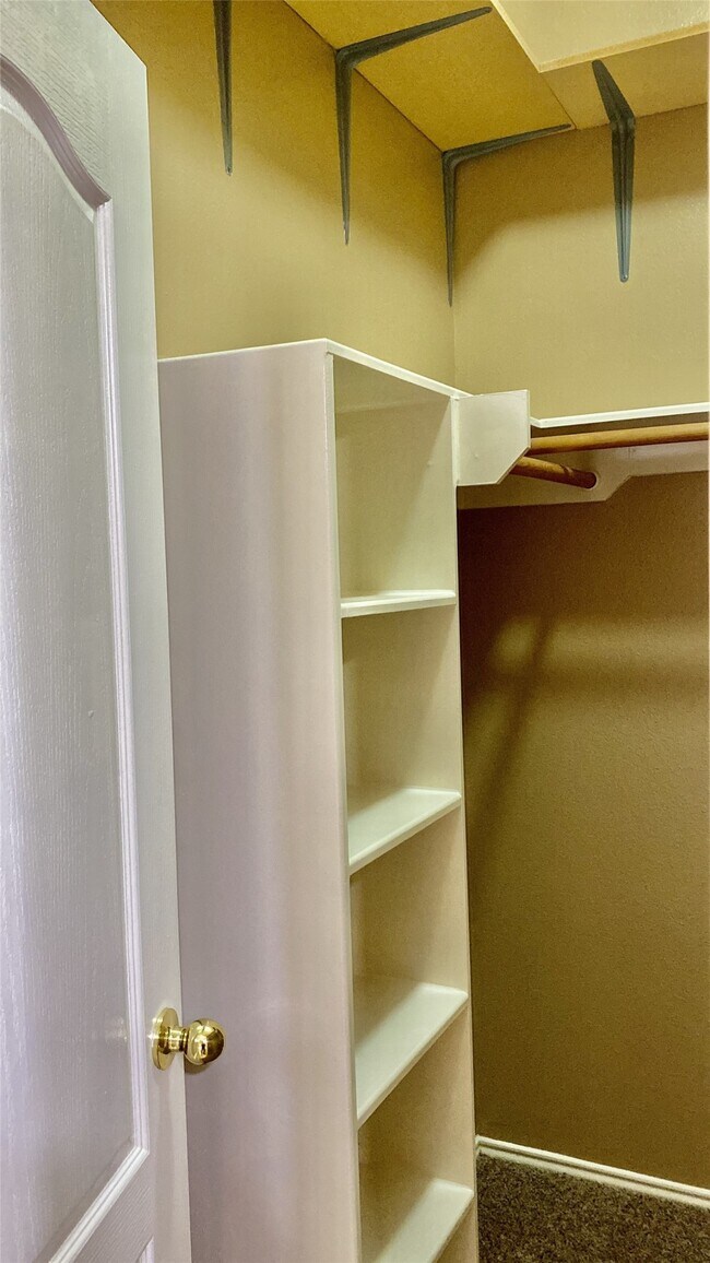 Building Photo - 18034 Platinum Springs Dr