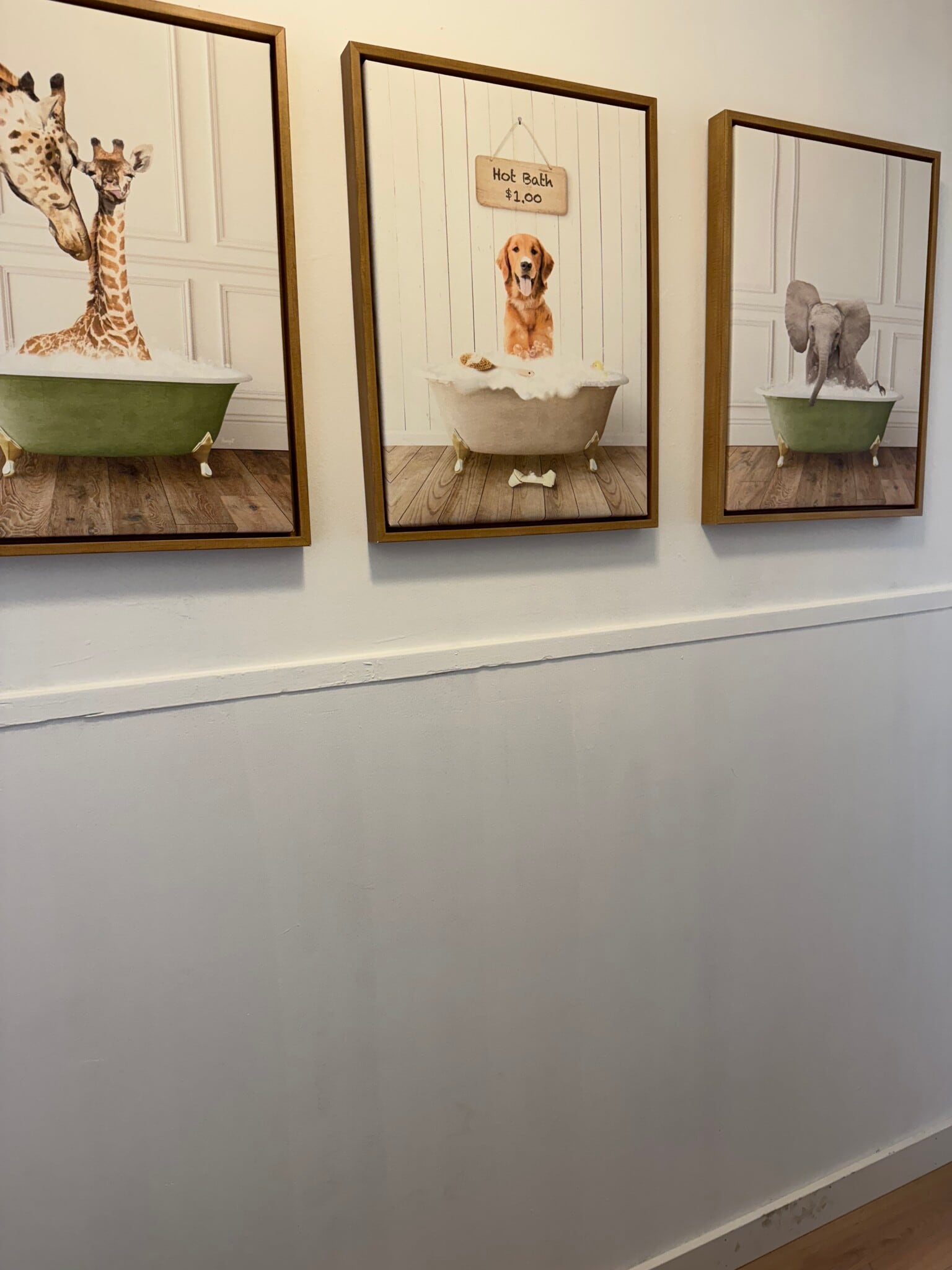 Building Photo - 820 Hope St