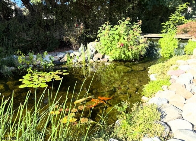 Building Photo - 41 Springfield Ave