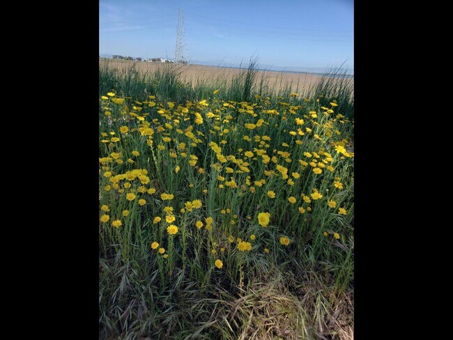 Building Photo - 6 Dockside Cir