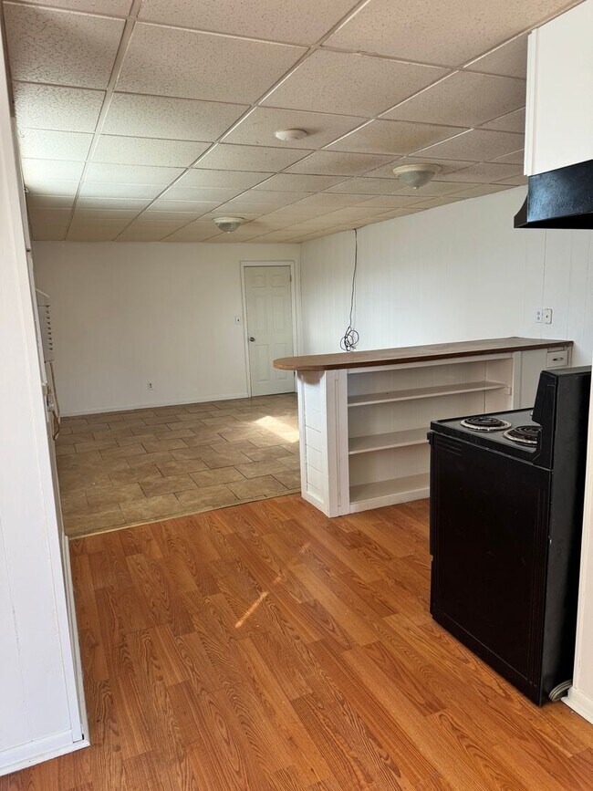 Building Photo - Newly Renovated 1 Bedroom in the Heart of Johnson City!