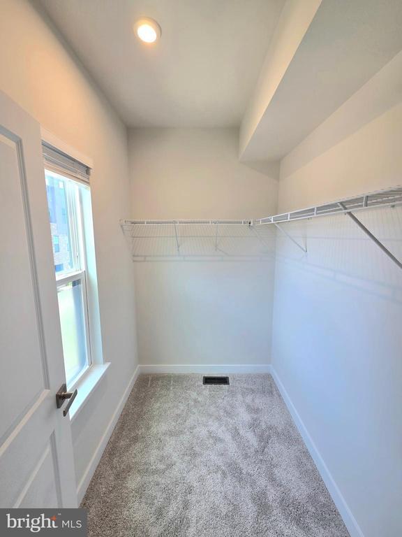 Building Photo - 4528 Dandelion Lp