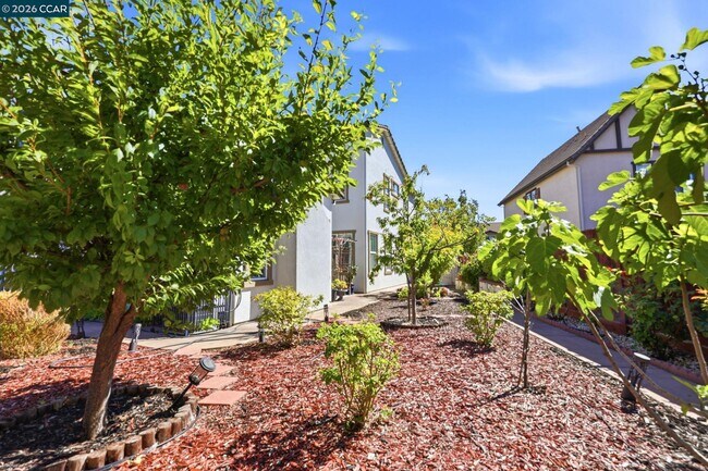 Building Photo - 165 Paddington Ct
