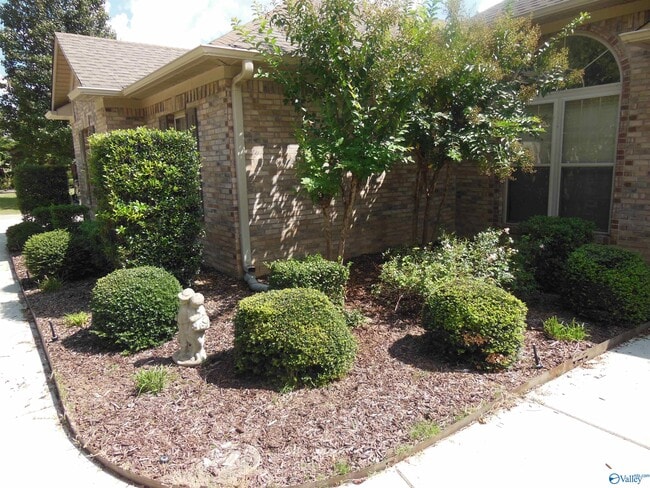 Building Photo - 2604 Little Cove Rd