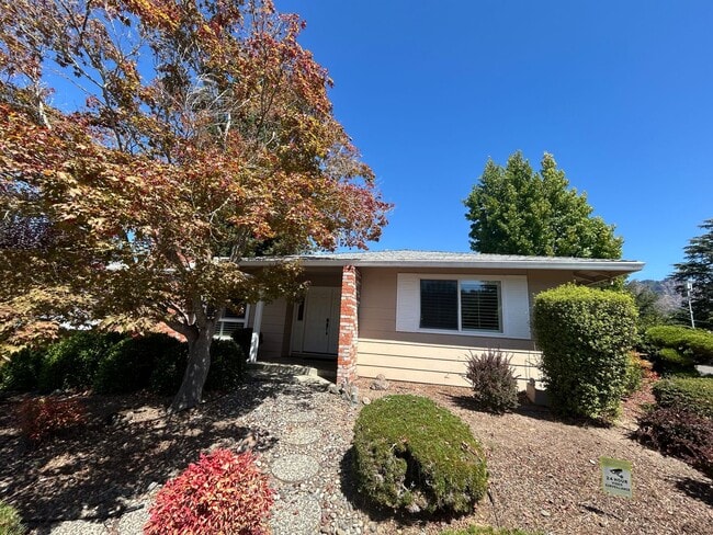 Building Photo - 245 Mockingbird Cir