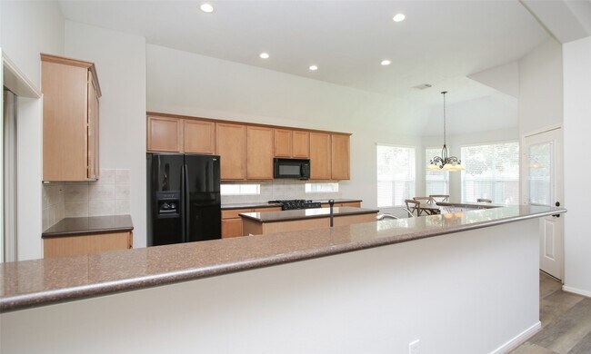 Building Photo - 11418 Ruby Canyon Ln