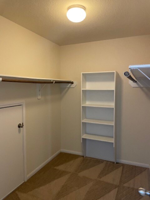 Building Photo - 12243 Claytons Park Ln