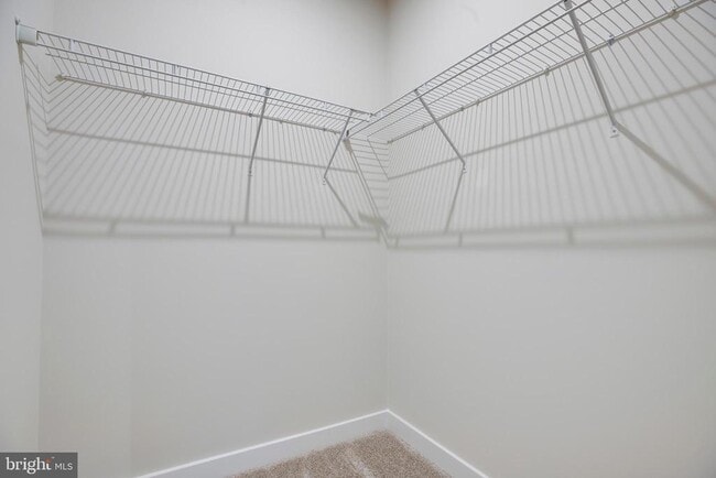 Building Photo - 4357 Black Tulip Wy