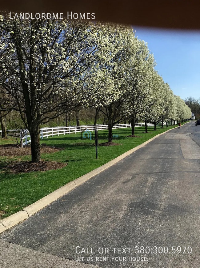 Building Photo - 2623 Bloom Dr