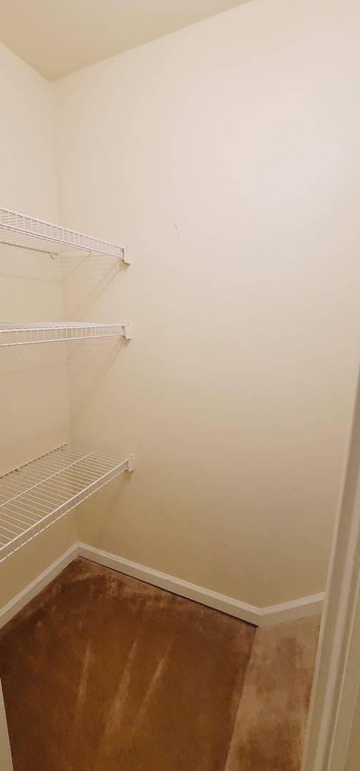 Building Photo - CLOSE TO CAMPUS 3/3 w/ Washer/Dryer, Lawn Maintenance Included, & More! $1875/month Avail startin...