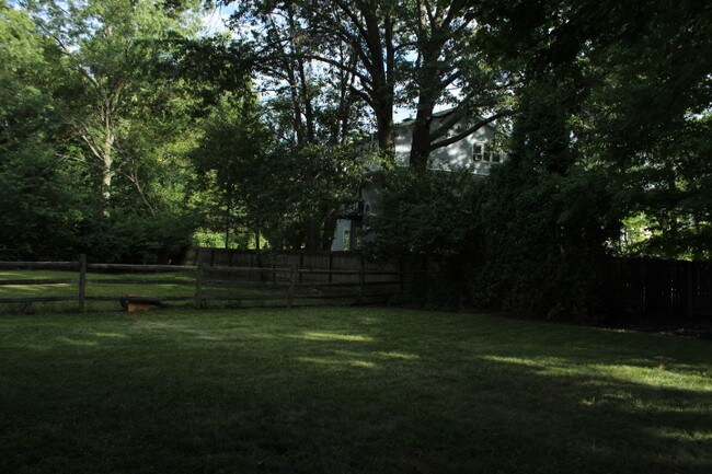 back yard - 1343 Sprucewood Ct