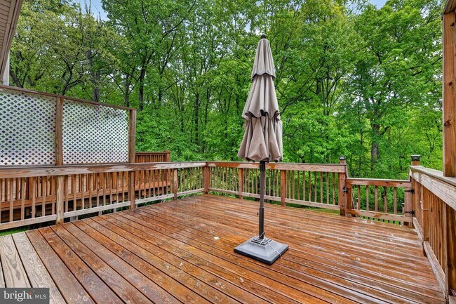 Building Photo - 3736 Angelton Ct